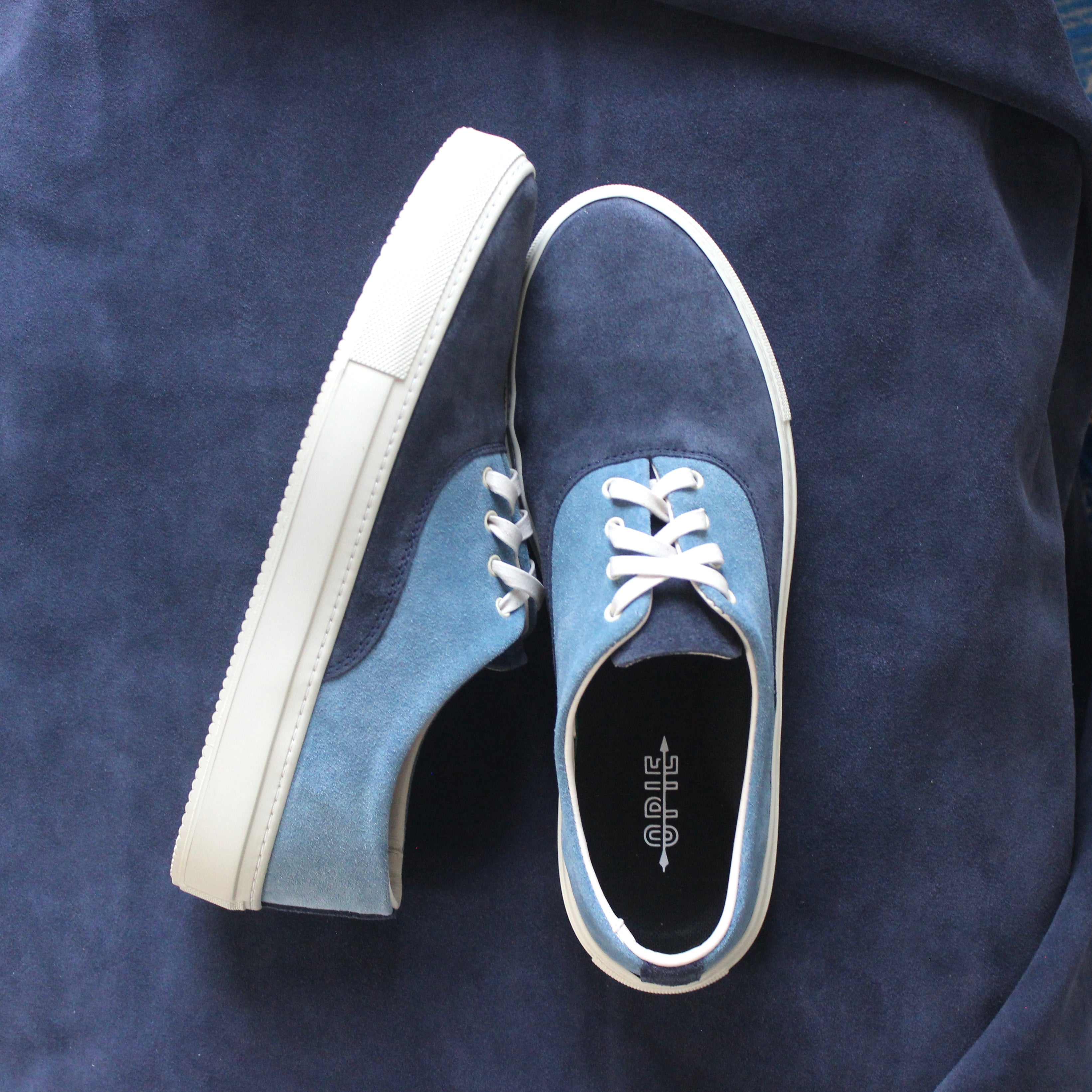 Men’s CV | Navy and Blue